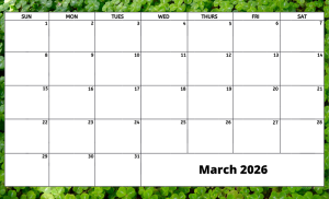March 2026 activity calendar for activity directors