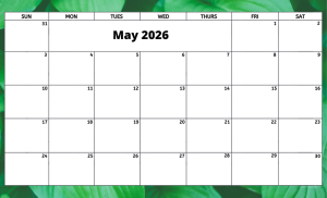 May 2026 activity calendar for activity directors